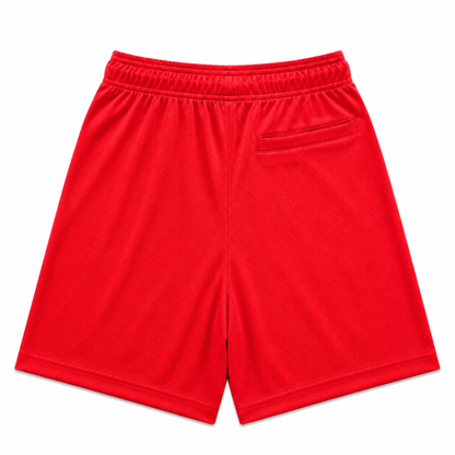 Jersey Knit Mesh Shorts